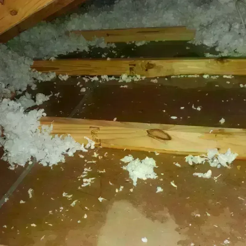 Attic Water Damage in Lamar, AR