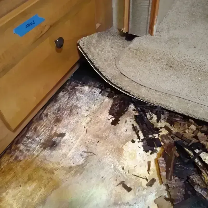 Wood Floor Water Damage in Lamar, AR